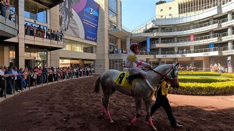 Cinépolis Vip Galerías Hipódromo interior